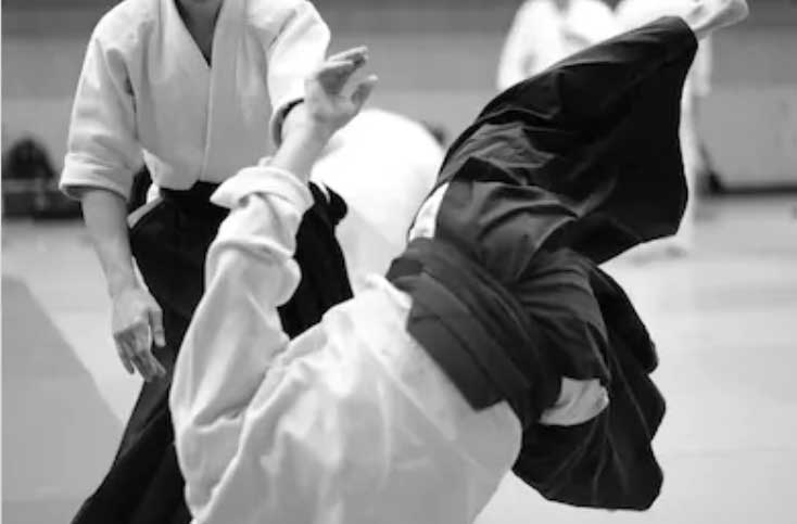 Image for Aikido (Juniors) with Instructor starting at 11:00am
